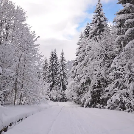 Chalet Chalet Renaissance - 1066